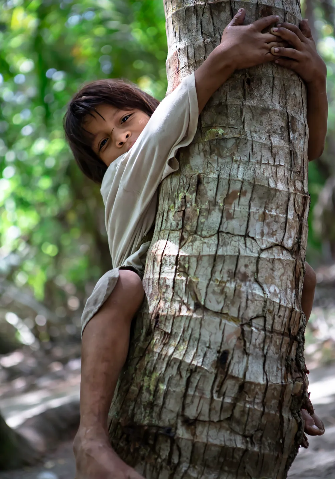 Un abrazo a la naturaleza