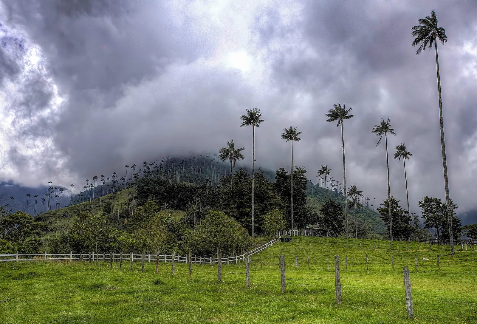 El paisaje entre la niebla