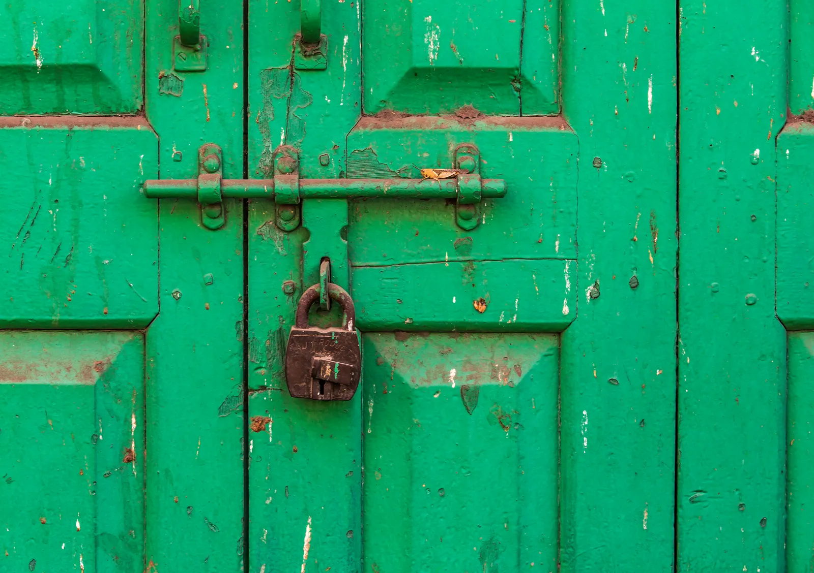 Texturas de una puerta verde
